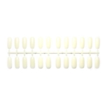 24 Tip per Espositore Nail Card