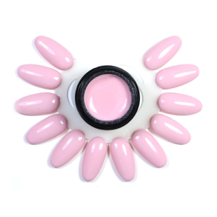 Gel Extra-Pigment New Form. Delice Rose 664 5 ML