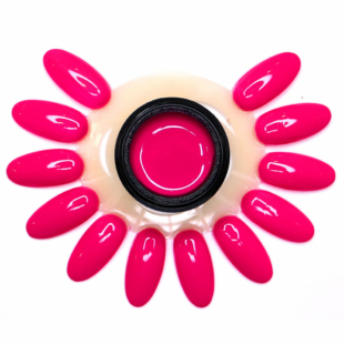 Gel Extra-Pigment New Form. Party 700 5 ML