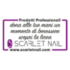 vetrofania prodotti professionali 1