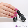 481 smalto unghie intense color