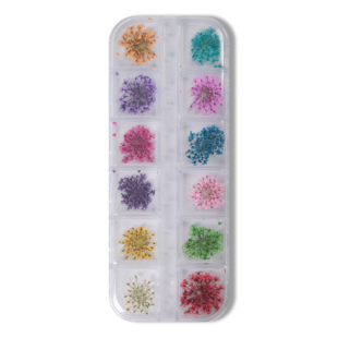 Set 12 pz Fiori Secchi Nail Art