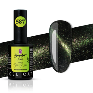 Smalto Semipermanente Cat Eye 9D 587 12 Ml