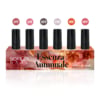 essenza autunnale collection