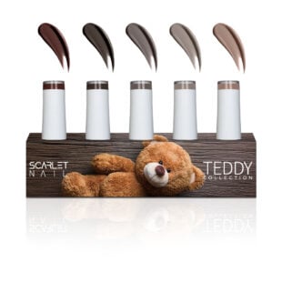 Teddy Collection Pro-Line