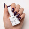 violet 682