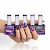 violet collection 1