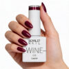 wine 638