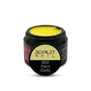 Gel Paint Giallo 809 5 ML